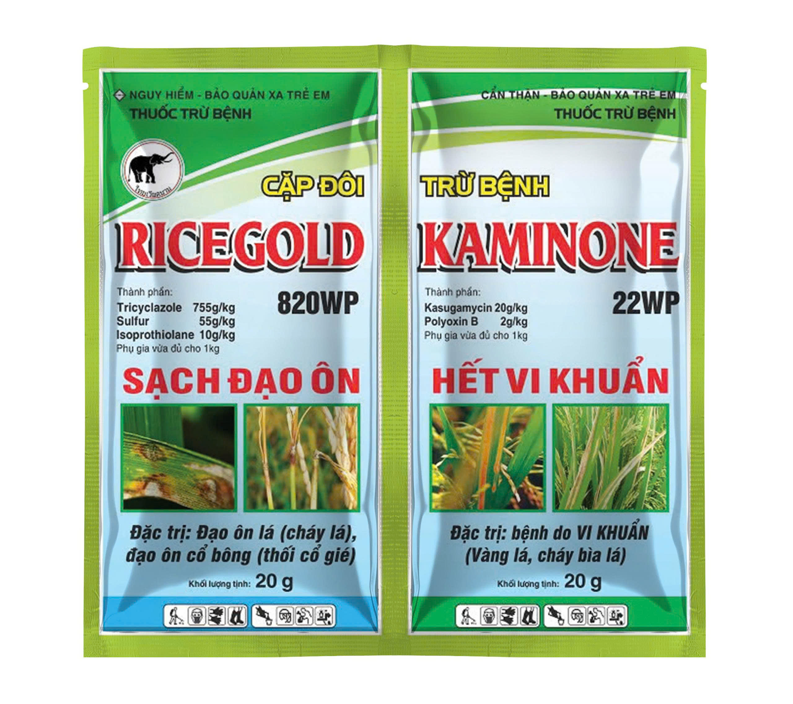CẶP ĐÔI GÓI 3G