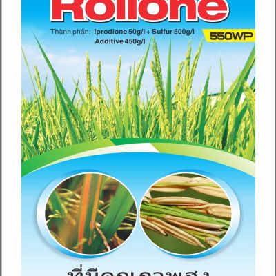 Rollone 550WP
