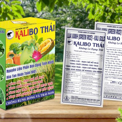 Kalibo Thái