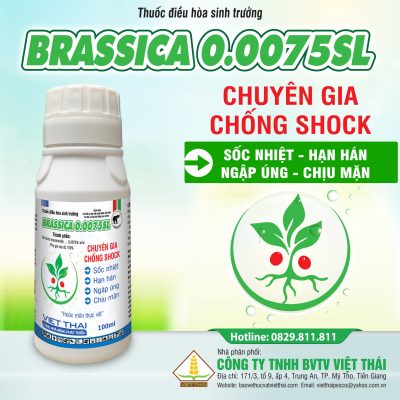 BRASSICA 0.0075SL
