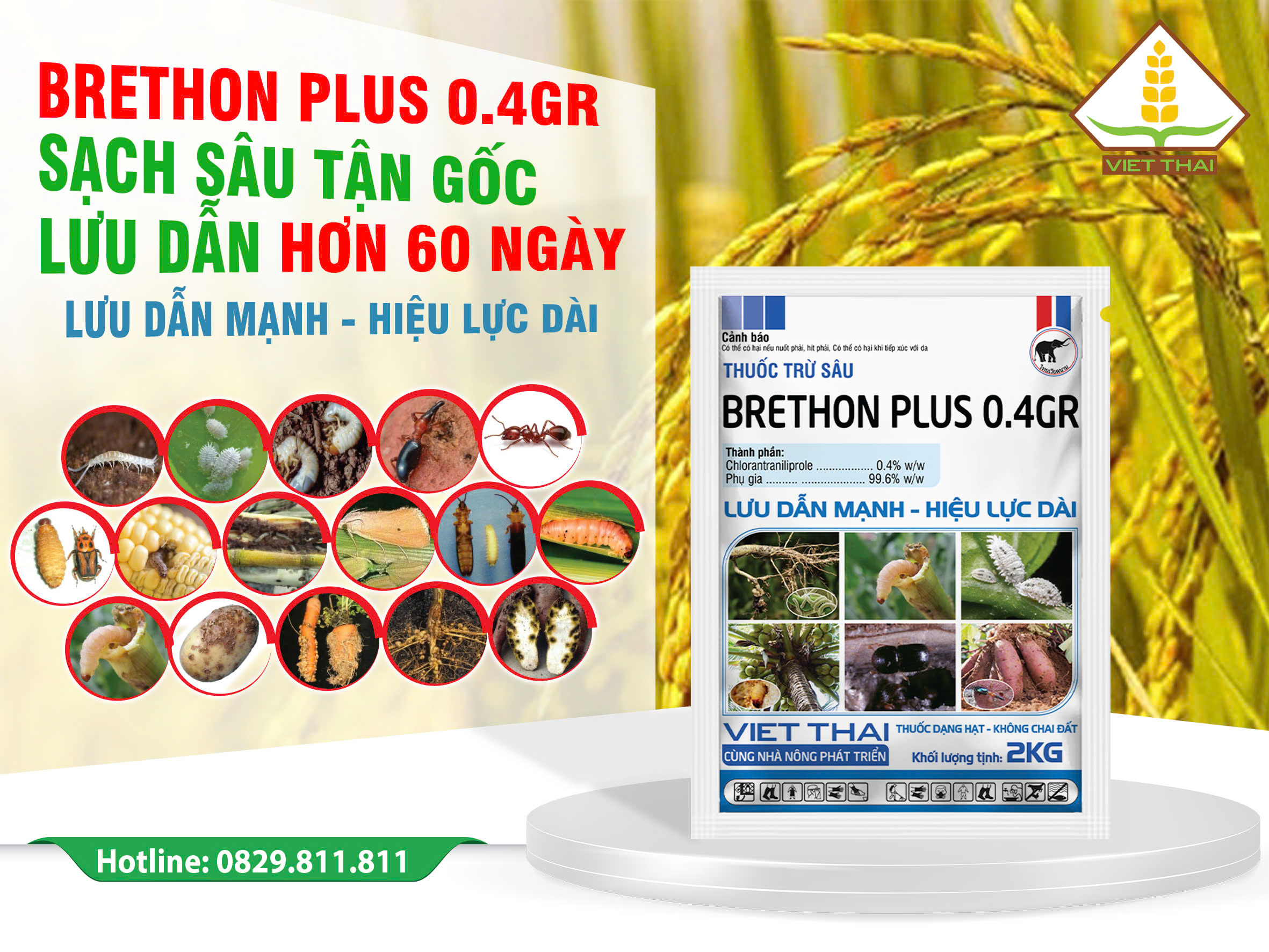 Brethonplus 0.4gr
