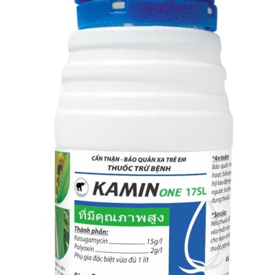 KAMIN ONE 17SL