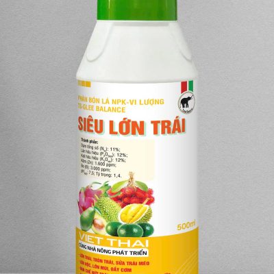 SIÊU LỚN TRÁI
