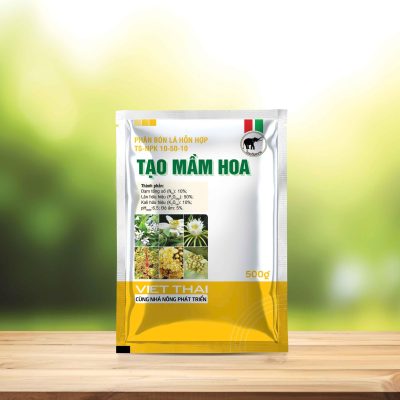 TẠO MẦM HOA