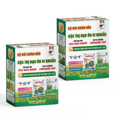 Bộ đôi Hoàn Hảo ( Đạo ôn- Vi khuẩn)